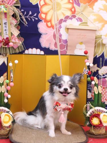 20240116マイアちゃん